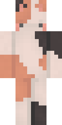 2D skin preview