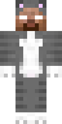 2D skin preview