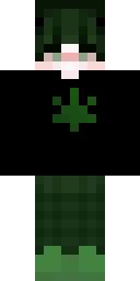 2D skin preview