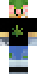2D skin preview