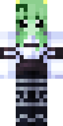 2D skin preview