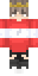 2D skin preview