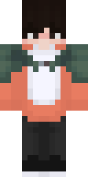 2D skin preview