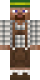 2D skin preview