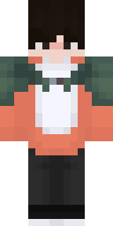 2D skin preview