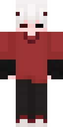 2D skin preview