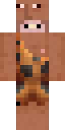2D skin preview