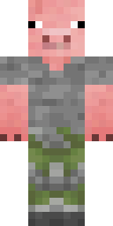 2D skin preview