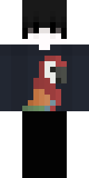 2D skin preview