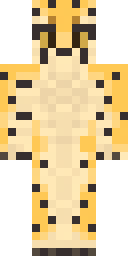 2D skin preview