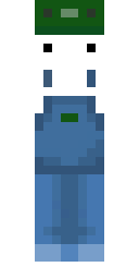 2D skin preview