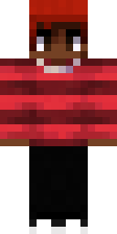 2D skin preview