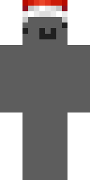 2D skin preview