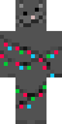 2D skin preview