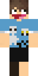 2D skin preview