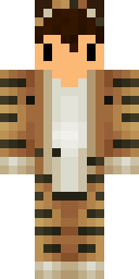 2D skin preview
