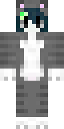 2D skin preview
