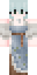 2D skin preview