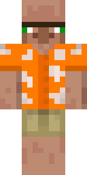 2D skin preview