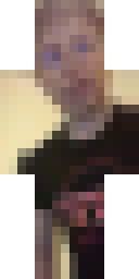 2D skin preview