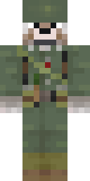 2D skin preview