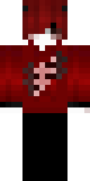 2D skin preview