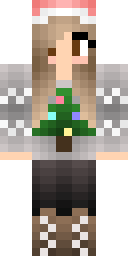 2D skin preview