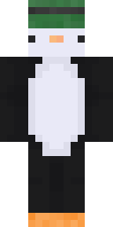 2D skin preview
