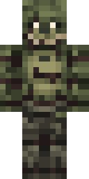 2D skin preview
