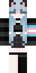 2D skin preview