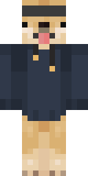 2D skin preview