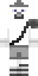 2D skin preview