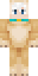 2D skin preview