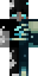2D skin preview