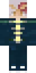 2D skin preview