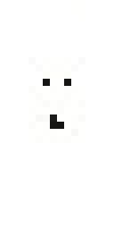 2D skin preview