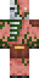 2D skin preview