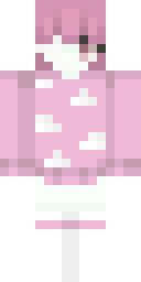 2D skin preview