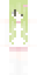 2D skin preview