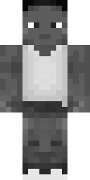 2D skin preview