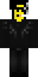2D skin preview