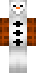 2D skin preview