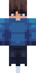 2D skin preview