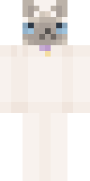 Skin preview for RobAtStray