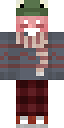 2D skin preview