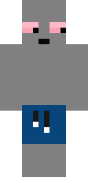 2D skin preview