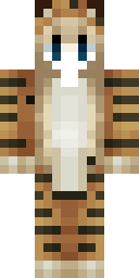 2D skin preview