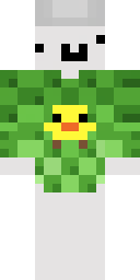 2D skin preview
