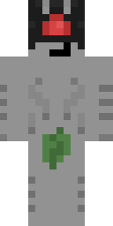 2D skin preview