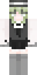 2D skin preview
